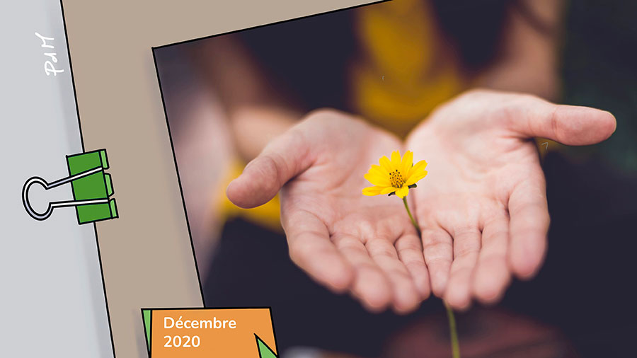 La générosité - Deux mains ouvertes avec une fleur jaune